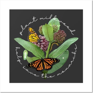 Plant Milkweed Help Save the Monarch Butterfly Posters and Art